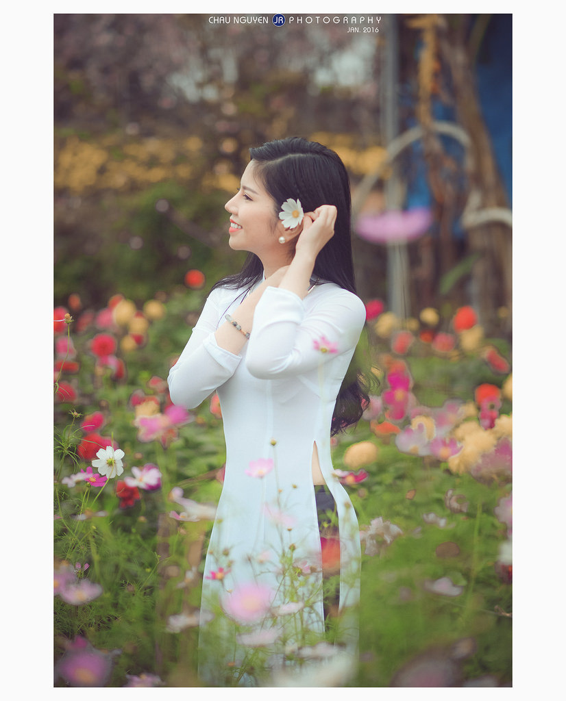 沉默不语的顾小姐